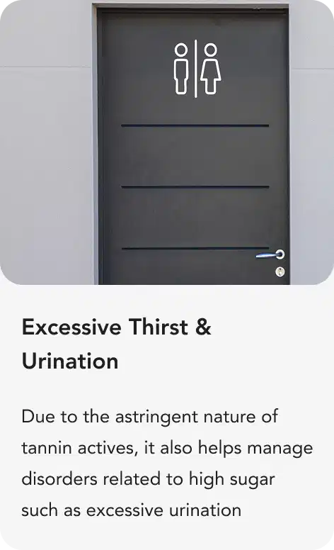 Testimonial by Customer