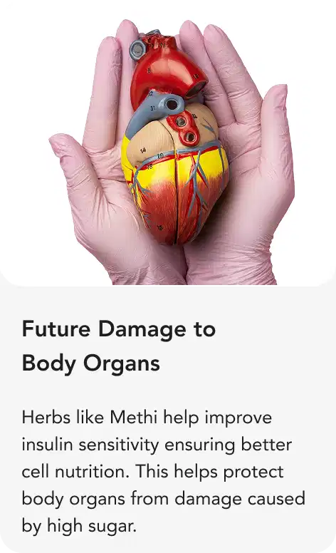 Testimonial by Customer