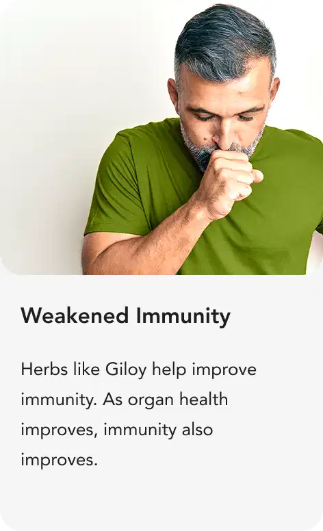 Testimonial by Customer