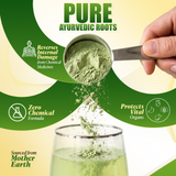 Doctor Ayurveda's Sugar Killer Powder